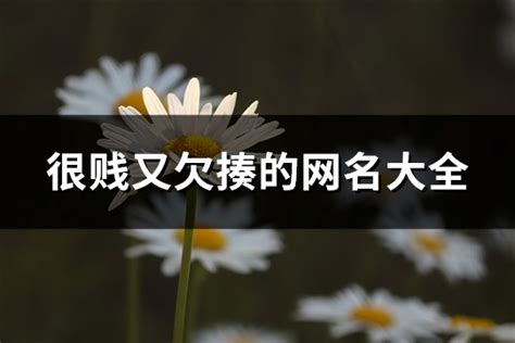 欠揍網名|很贱又欠揍的网名大全